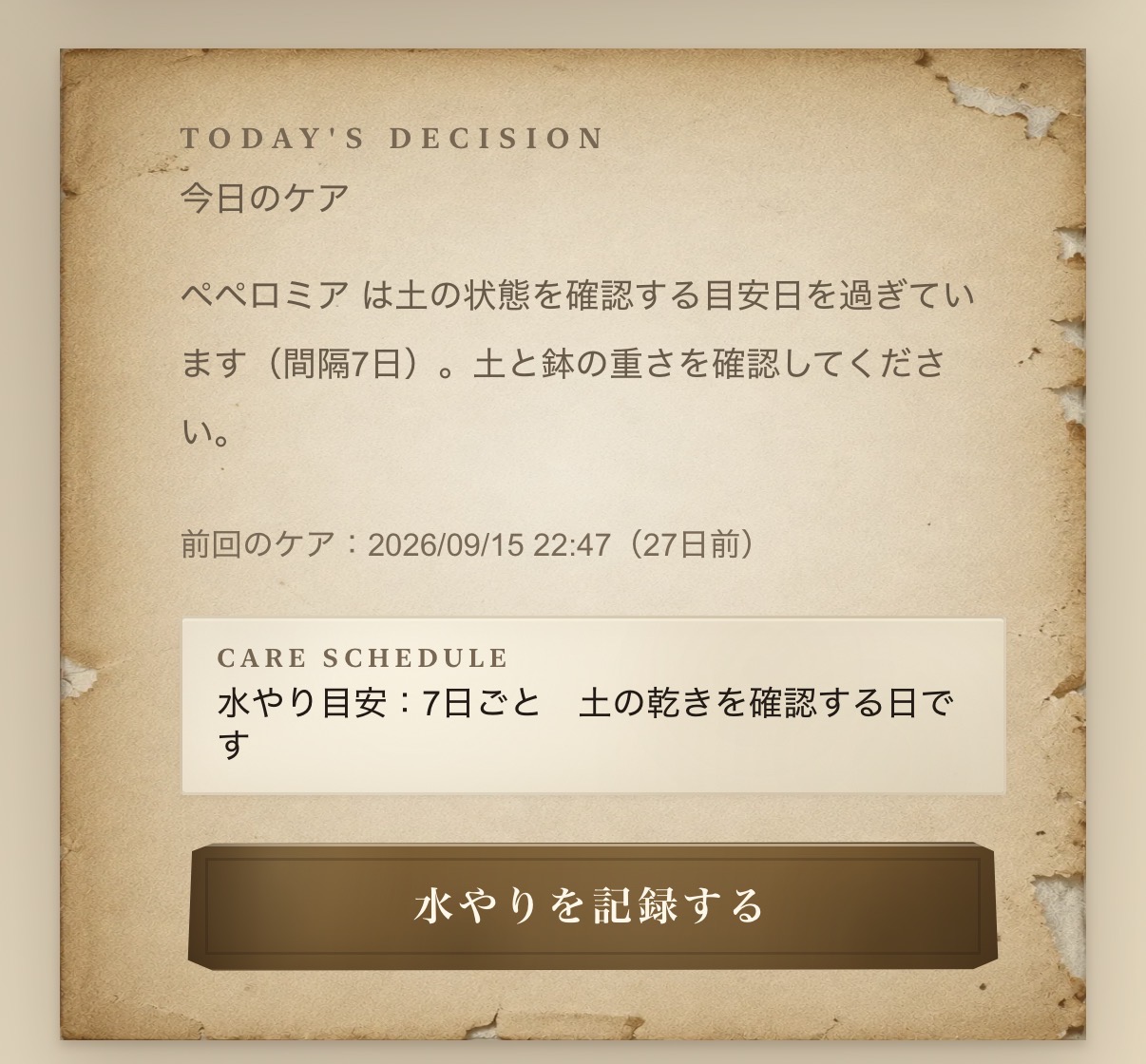 今日のケア画面