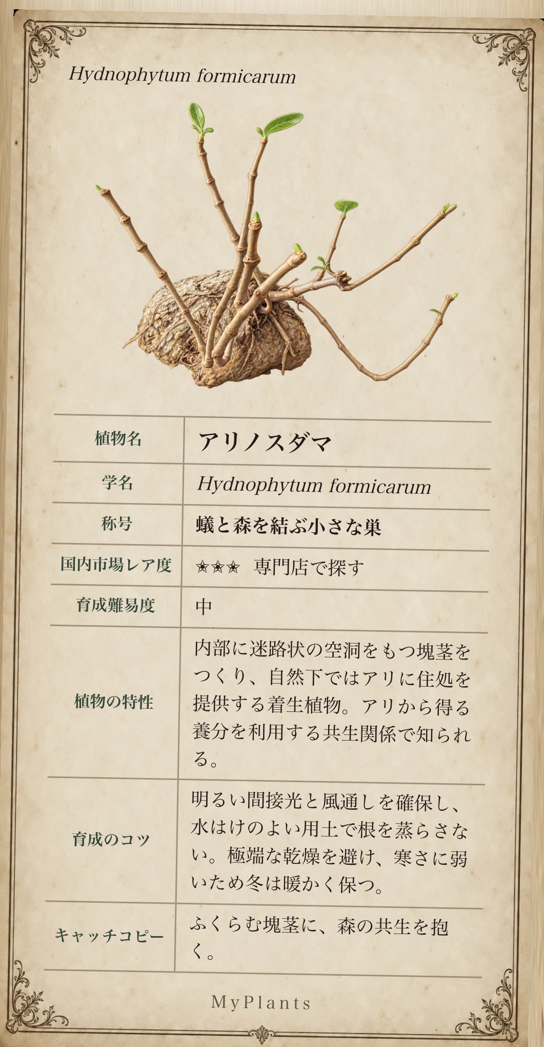 アリノスダマの植物図譜